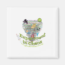 「カオスの実験」磁石