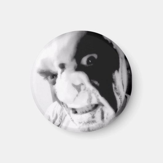 カオスアヌビス血顔グッドvsエビルマグネット マグネット (正面)