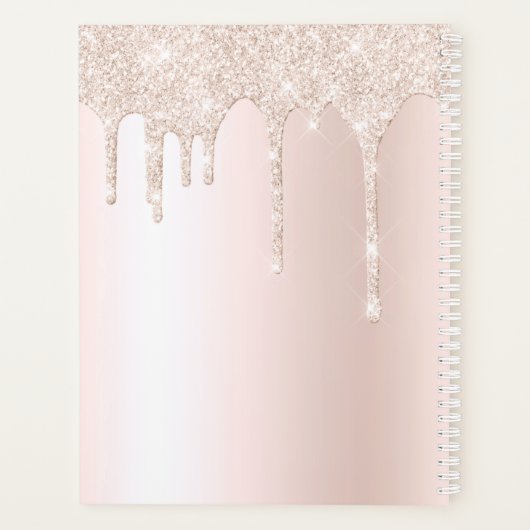 カオスコーディネーターシックガーリーグリッターパーソナライズされた プランナー手帳 (裏面)