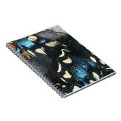 カオス理論 ノートブック (右側)