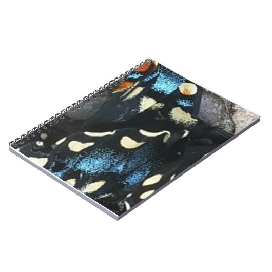 カオス理論 ノートブック (左側)