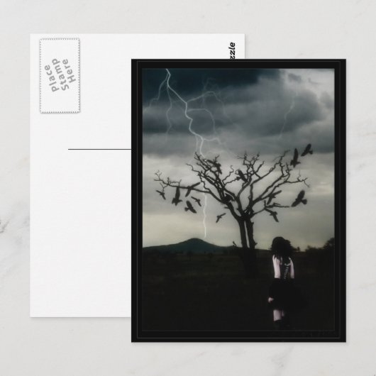 カオス理論 ポストカード (正面/裏面)