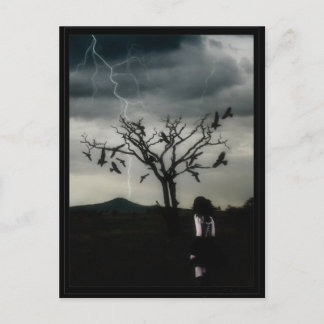 カオス理論 ポストカード