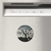 カオス理論 マグネット (インサイチュ (食洗機))