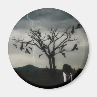 カオス理論 マグネット