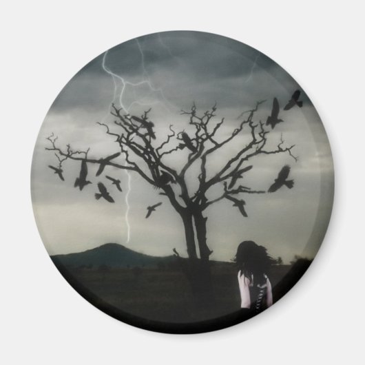 カオス理論 マグネット (正面)