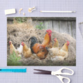 カオティックチキンポートレート部3 薄葉紙 (クラフト)