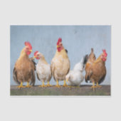 カオティックチキンポートレートPt 1ティッシュペーパー 薄葉紙 (正面)