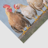 カオティックチキンポートレートPt 1ティッシュペーパー 薄葉紙 (詳細)