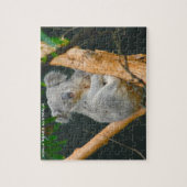 カオラはオーストラリア産 ジグソーパズル (縦)