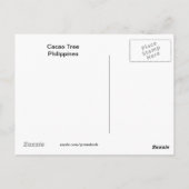 カカオの木はがき ポストカード (裏面)