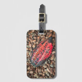 カカオポッド ラゲッジタグ (正面縦)