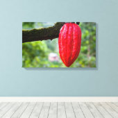 カカオ・ポッド・レッド キャンバスプリント (インサイチュ (ウッドフロア))