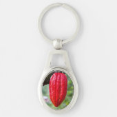 カカオ・ポッド・レッド キーホルダー (正面)