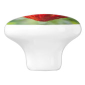 カカオ・ポッド・レッド セラミックノブ (側面)