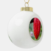 カカオ・ポッド・レッド セラミックボールオーナメント (左)