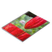 カカオ・ポッド・レッド ノートブック (左側)