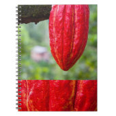 カカオ・ポッド・レッド ノートブック (正面)