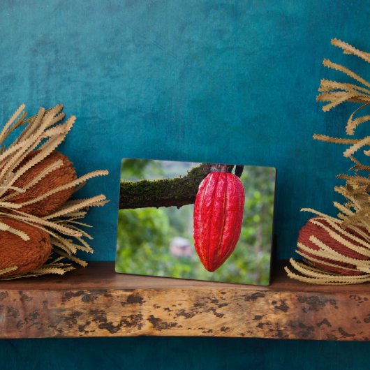 カカオ・ポッド・レッド フォトプラーク (側面)