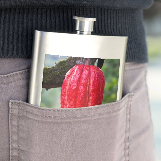 カカオ・ポッド・レッド フラスク (インサイチュ)