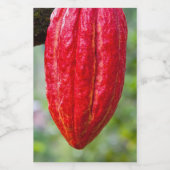 カカオ・ポッド・レッド フードラベル (シングルラベル)