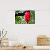 カカオ・ポッド・レッド ポスター (キッチン)