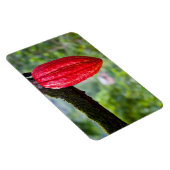 カカオ・ポッド・レッド マグネット (右側)