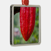 カカオ・ポッド・レッド メタルオーナメント (右)