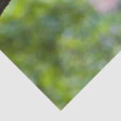 カカオ・ポッド・レッド 薄葉紙 (詳細)