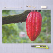 カカオ・ポッド・レッド 薄葉紙 (クラフト)