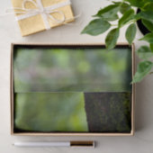 カカオ・ポッド・レッド 薄葉紙 (ギフト)