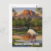カカドゥ国立公園オーストラリア ポストカード (正面/裏面)