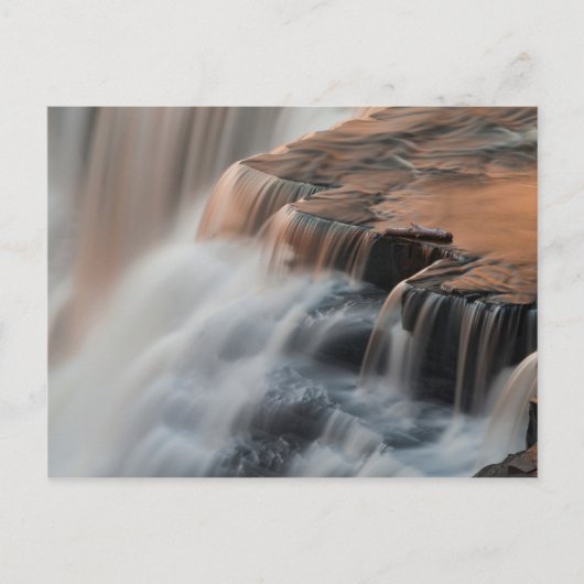 カカベカ秋クローズアップ ポストカード (正面)