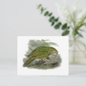 カカポグリーンフクロウオウム珍しい鳥イラストレーション ポストカード (スタンド正面)