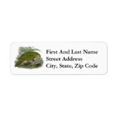 カカポグリーンフクロウオウム珍しい鳥イラストレーション ラベル (正面)