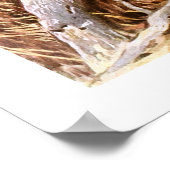 カカポ ポスター (角)