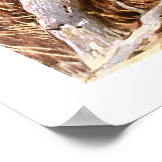 カカポ ポスター (角)