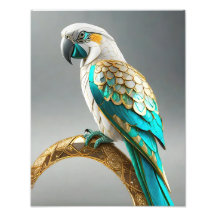 カカモトゥパロットアイランドコンチネンタルビーレムリア