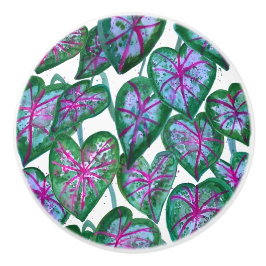 カカラフルラディウムウォーターカラーアートピンクグリーン セラミックノブ (正面)