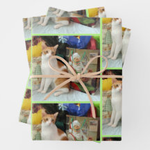 カガンのクリスマスプレゼント – 猫/子猫