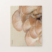 カキのキノコのコロニーの閉鎖 ジグソーパズル (縦)