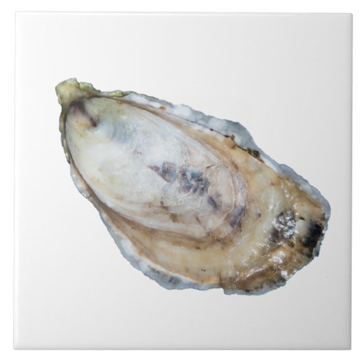 カキのタイル-白を設計して下さい タイル (正面)