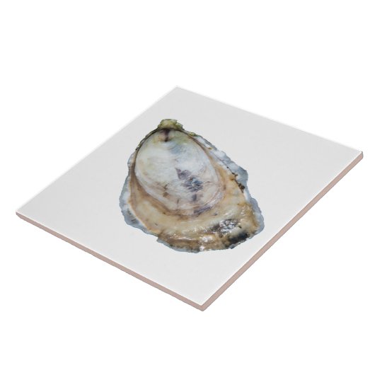 カキのタイル-白を設計して下さい タイル (側面)