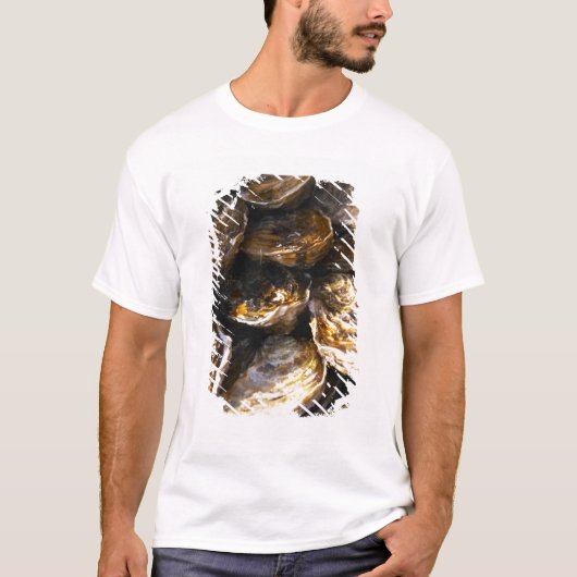 カキの皿盛り Tシャツ (正面)