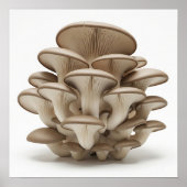 カキの群れ ポスター (正面)