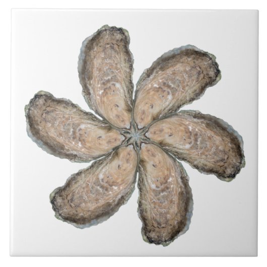 カキの花のタイル-デザインDの白 タイル (正面)