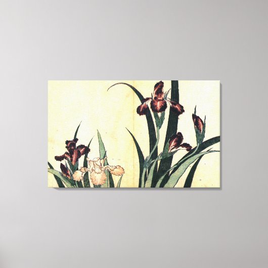 カキツバタ,北斎アイリス，北斎，浮世絵 キャンバスプリント (正面)