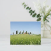 カキ付きトスカーナの農家 ポストカード (スタンド正面)