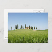 カキ付きトスカーナの農家 ポストカード (正面/裏面)