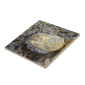 カキ貝 タイル (側面)